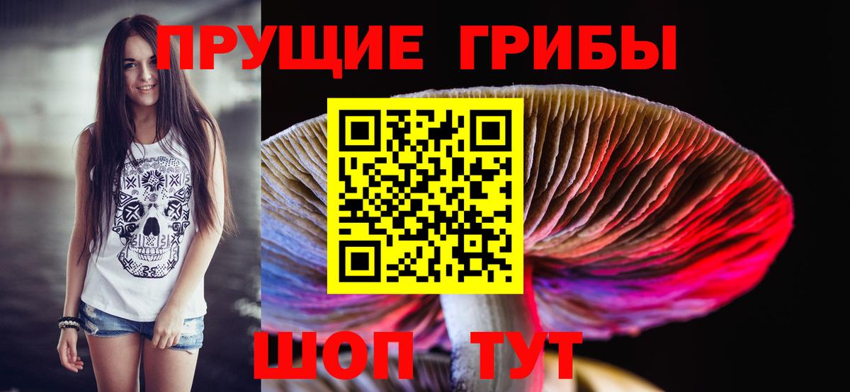 Псилоцибиновые грибы мицелий Ханты-Мансийск